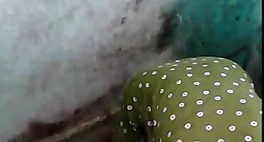 phim sex viet nam like Một phụ nữ trẻ fucks trong ass sex mỹ đen với một ông già.